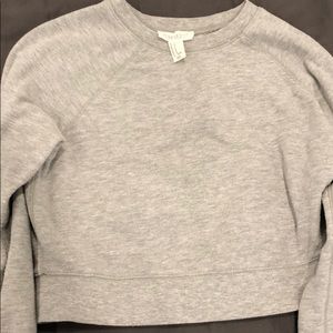 Forever 21 Cropped Gray Sweatshirt